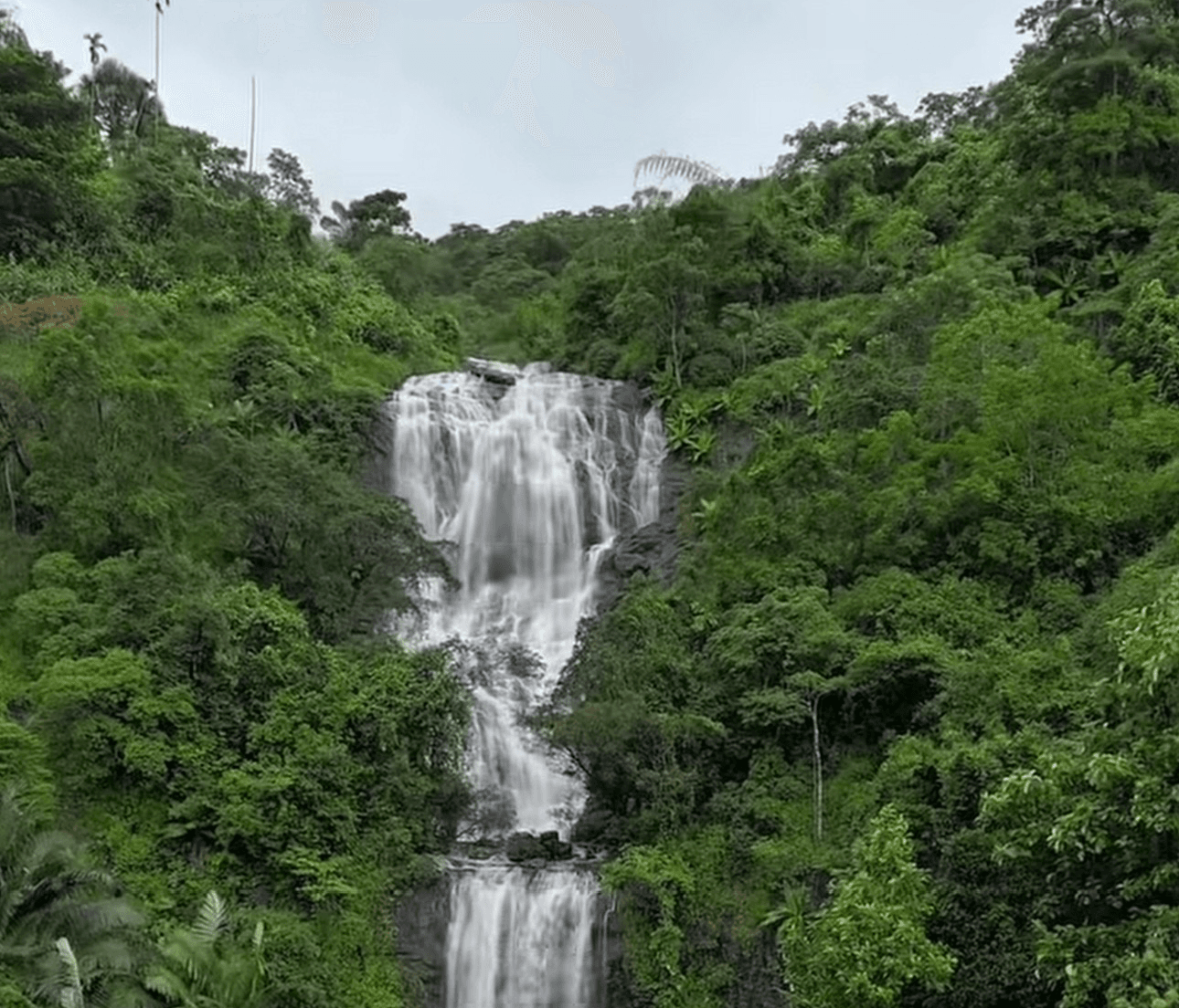 Kappimala